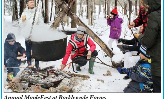 Discover sweet Ontario maple syrup