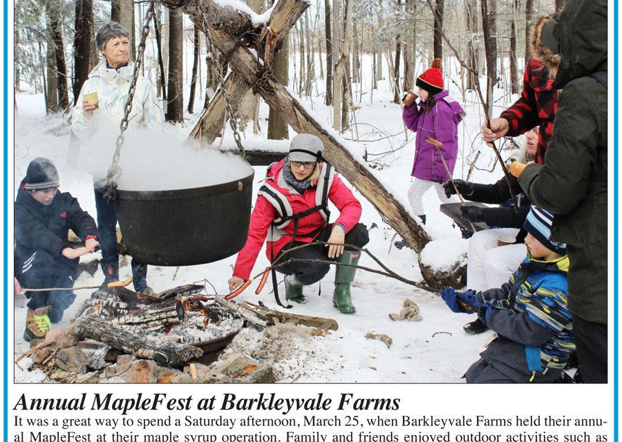 Discover sweet Ontario maple syrup