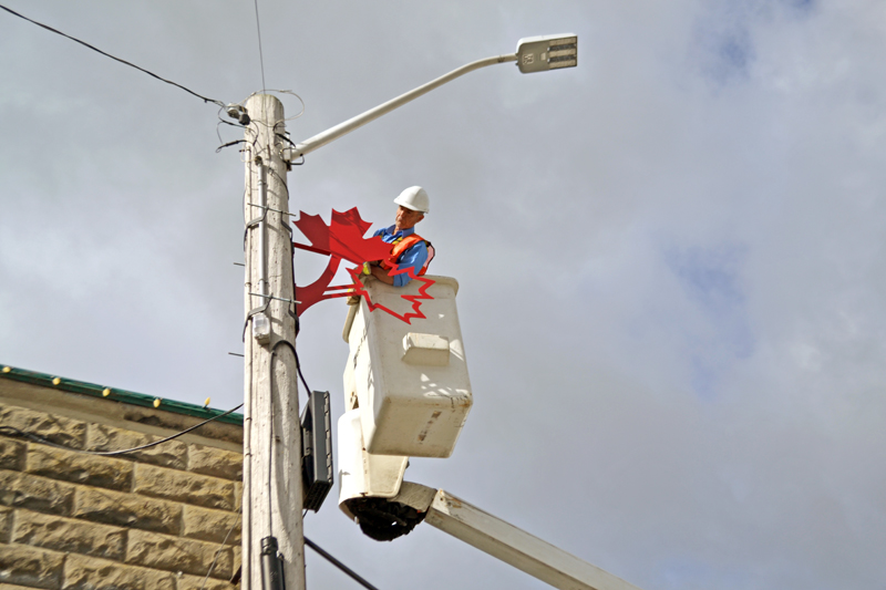 Rotary Club commissions new leaves for Canada 150