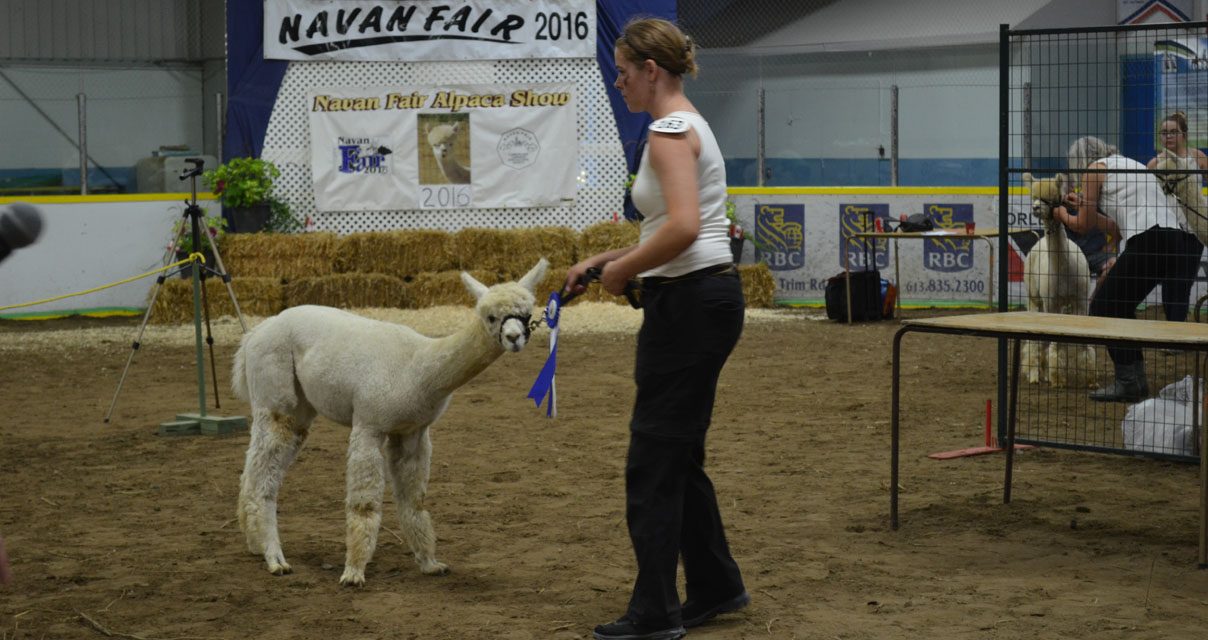 Navan celebrating 72nd fair this weekend