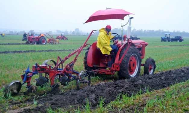 Stormont County Plowing Match draws crowds on Thanksgiving weekend