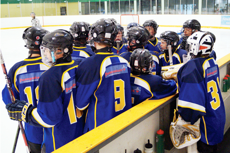 Bantam B Rep Lions ready for regular season