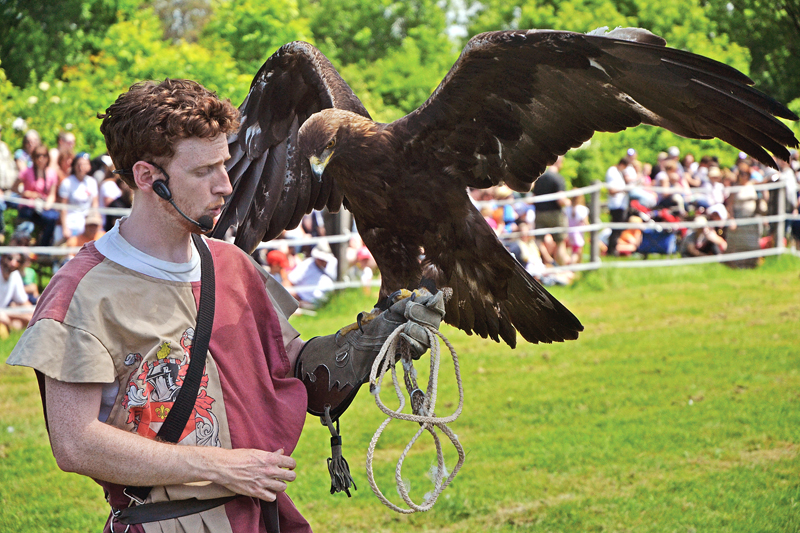 Medieval Festival takes visitors back in time