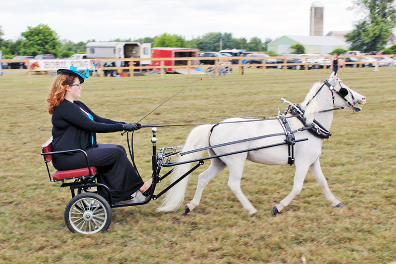 Celebrating country roots at the Stormont County Fair!