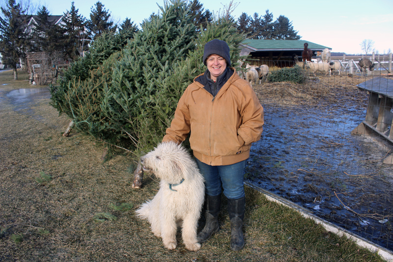 Christmas treats for our animal friends