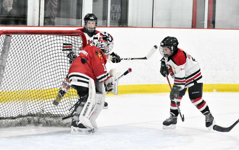 Atom C1 Demons come close to finals