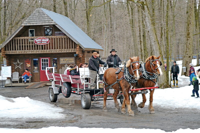 Maple Weekend celebrated by sugar bushes across Ontario