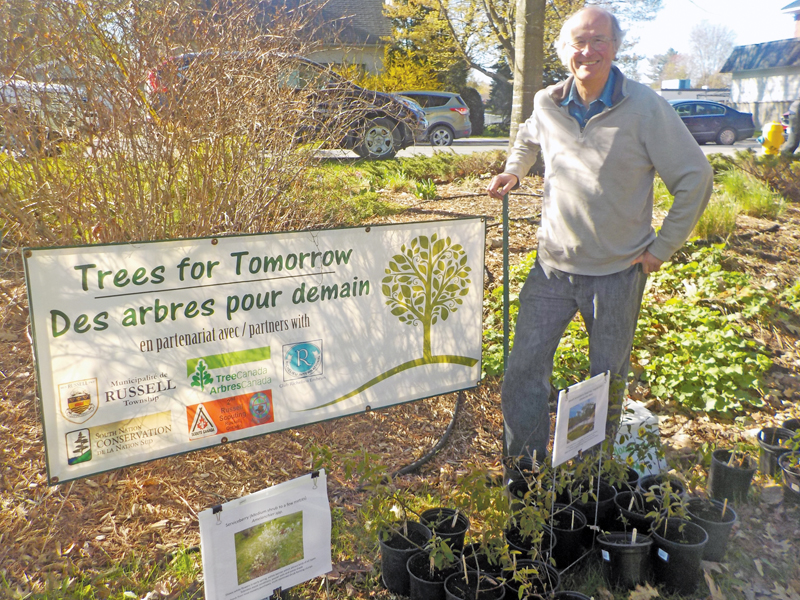 Shrubs, flowers, hot commodities at annual plant sale