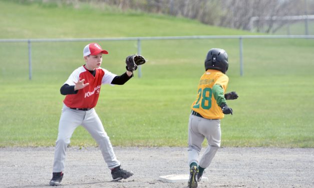 Minor Pioneers top Red Sox