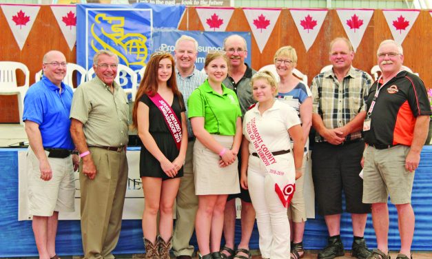 Fun in the sun at the Avonmore Fair