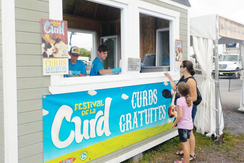 St. Albert Curd Festival welcomes unusual visitors