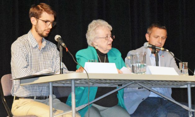 Marthe Lépine removed from Green Party, continues to run as an Independent