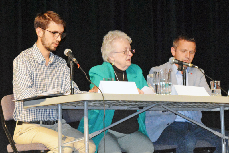 Marthe Lépine removed from Green Party, continues to run as an Independent