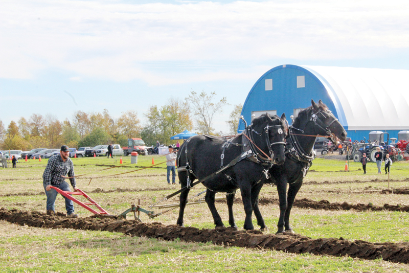 Plowing up a furrow!