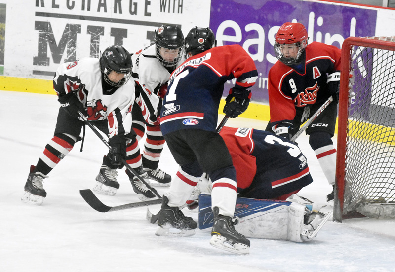 Peewee B Rep Demons hang on to second place