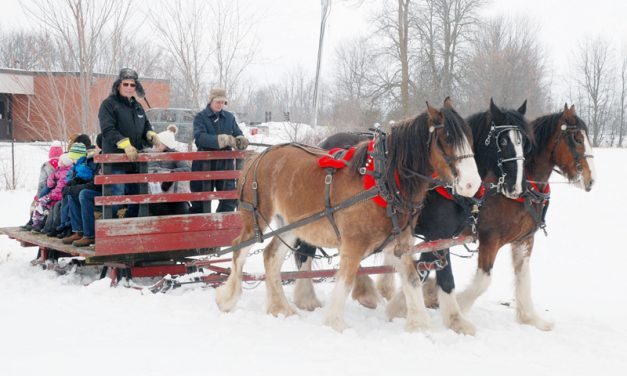 Inkerman Carnival keeps up a tradition