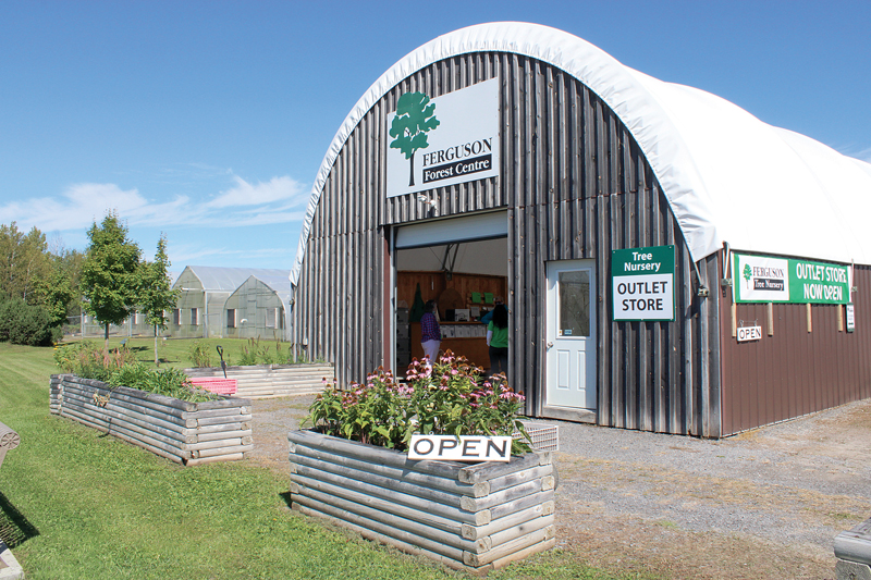 Ferguson Tree Nursery outlet store opens