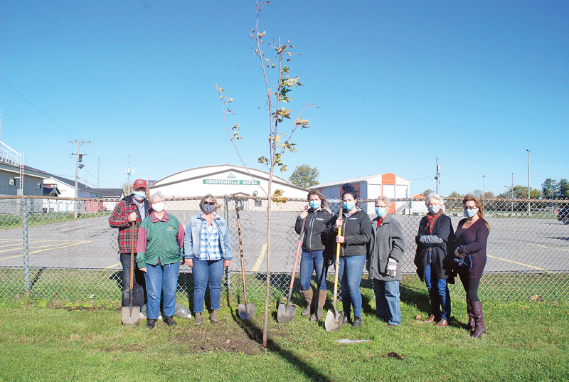 Planting for the future