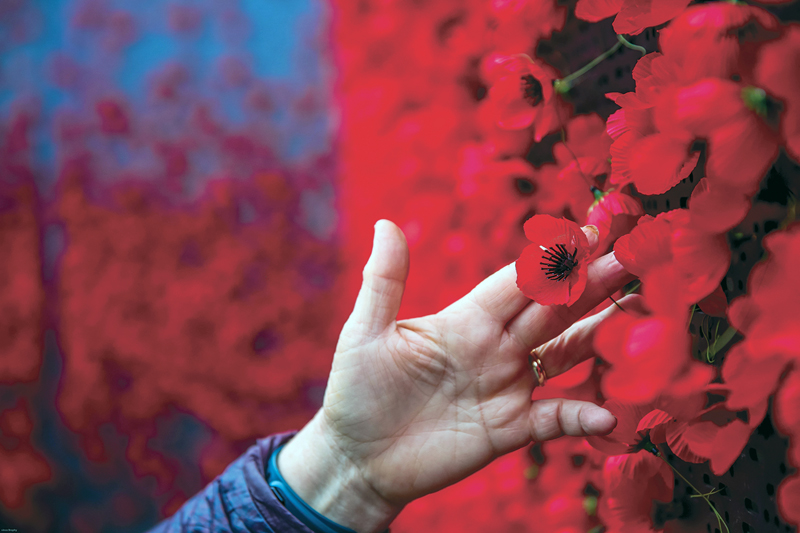 Remembrance Day Celebrations