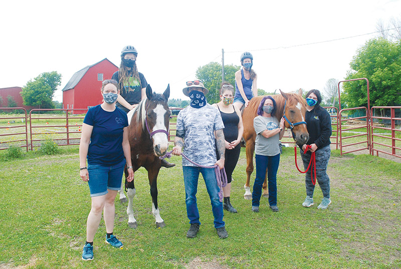 Horses and people go well together