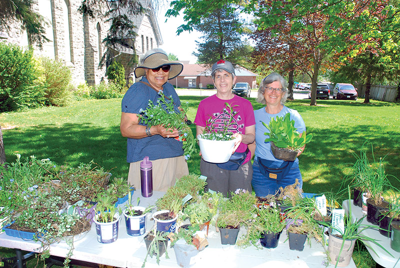 Helping out gardens all over Winchester