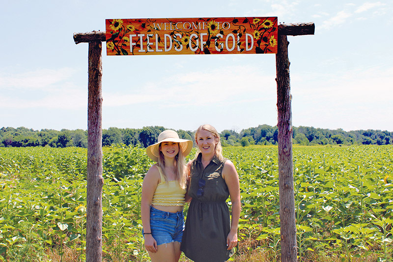 Enjoy a walk in nature at Fields of Gold