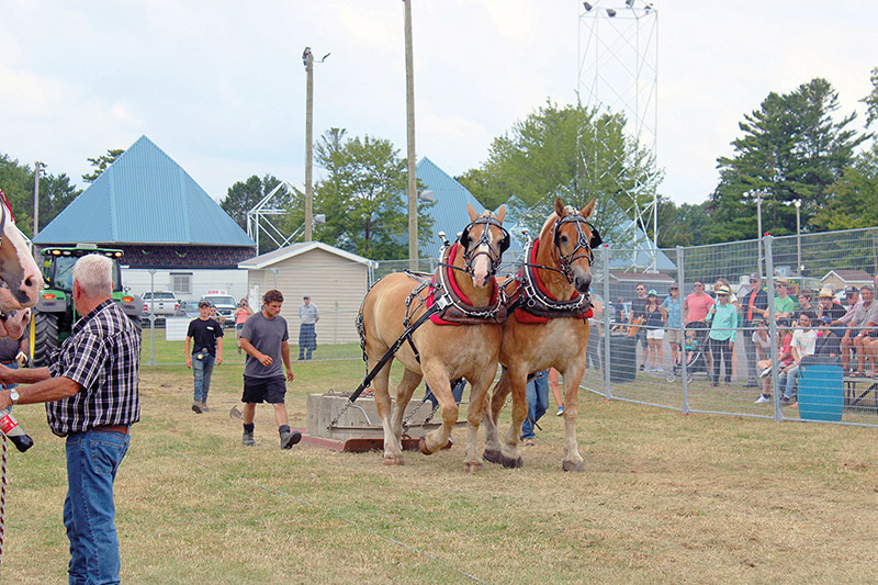 Fair weekend in Navan