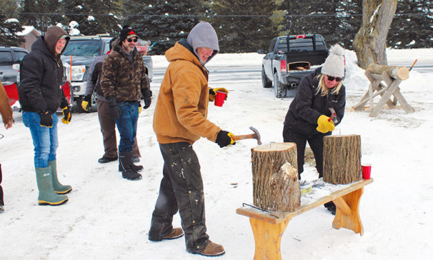 Thanks for a wonderful winter carnival!