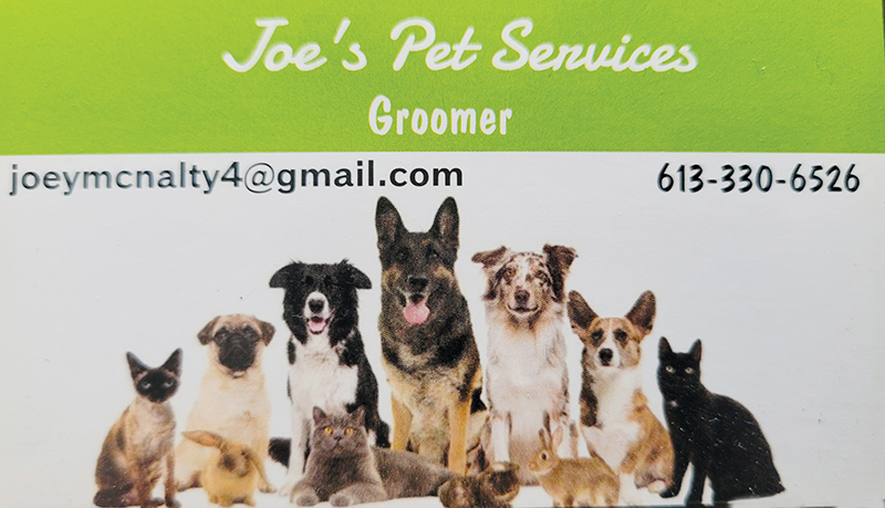 Spotlight on Business – Joe’s Pet Services