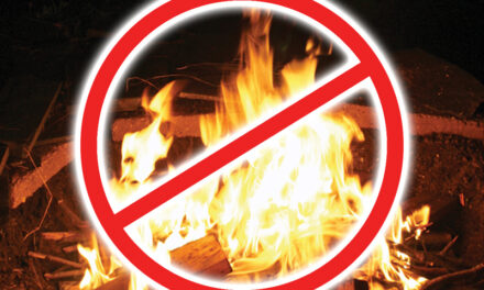 Full Burn Ban on in all townships
