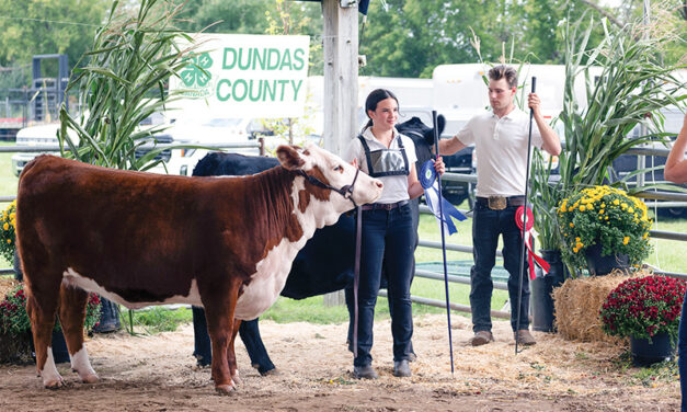 South Mountain Fair and 4-H provide a lesson in patience and effort