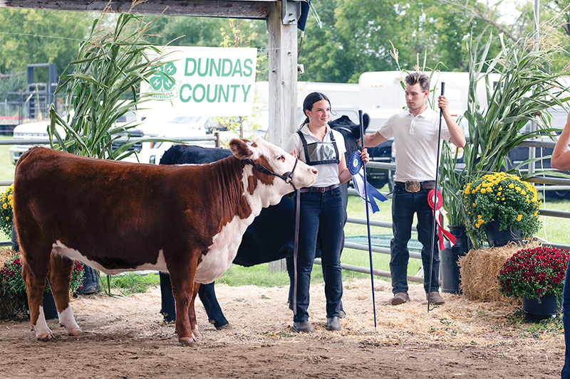 South Mountain Fair and 4-H provide a lesson in patience and effort