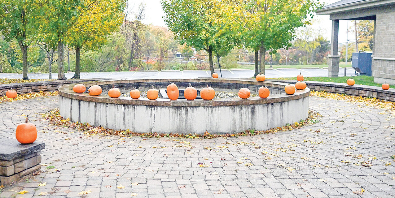 Ingleside Long Sault Lost Villages Lions Club Pumpkin Hunt