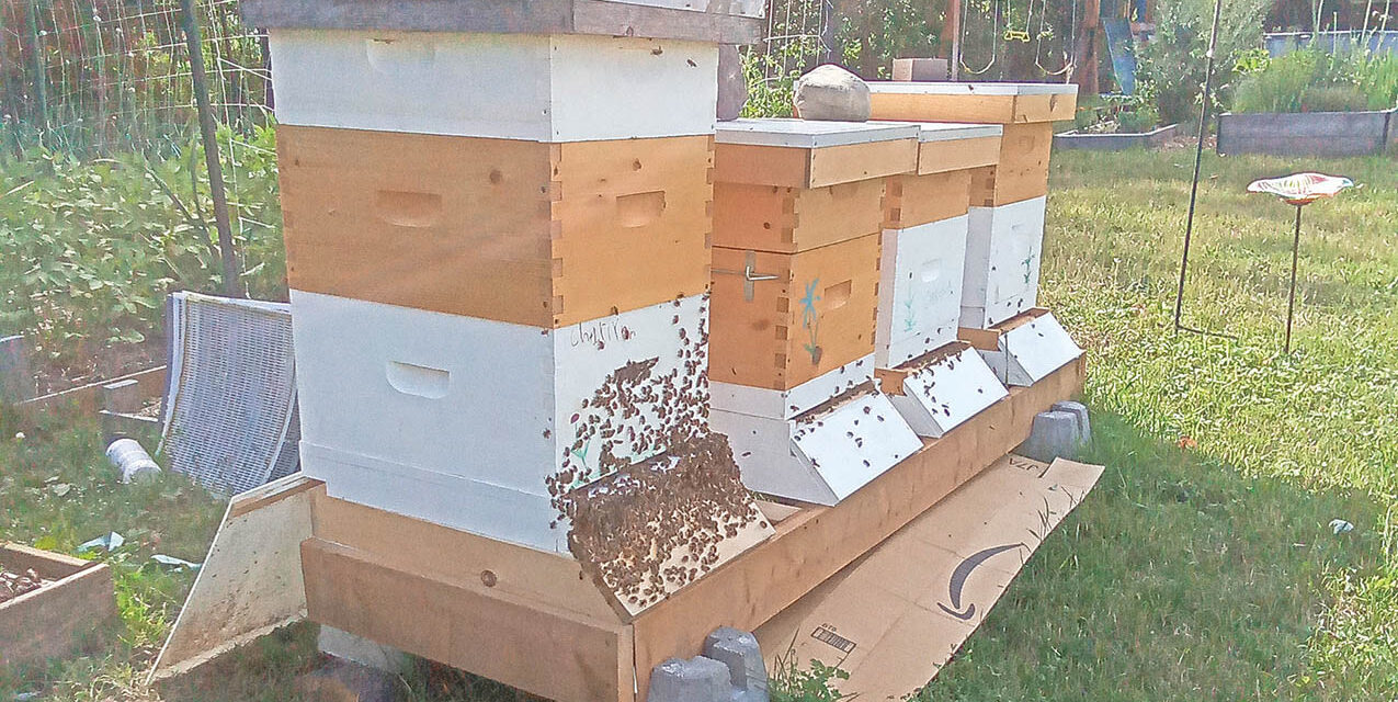 Winchester Springs Apiary