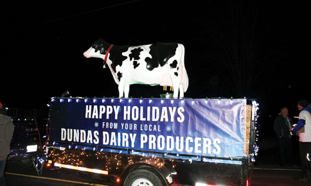 Parade of Lights brings magic for all ages