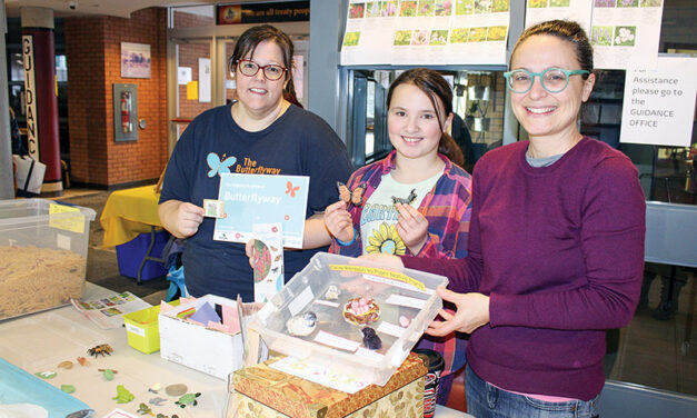 Encouraging Nature