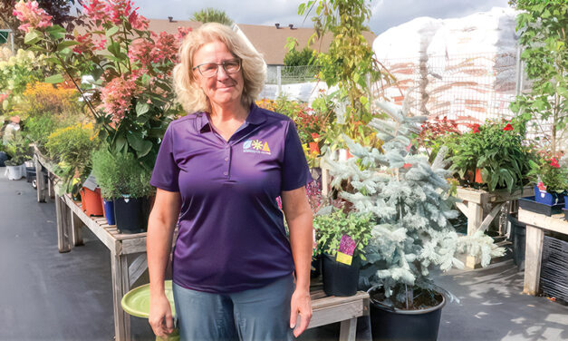 Beyond the House, more than just a garden centre