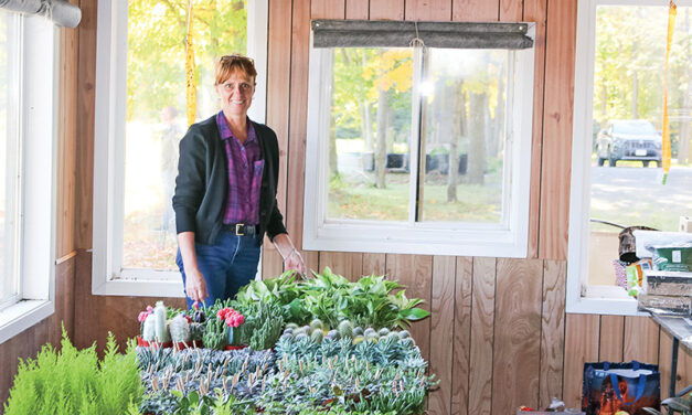 Chantal’s Succulent Oasis