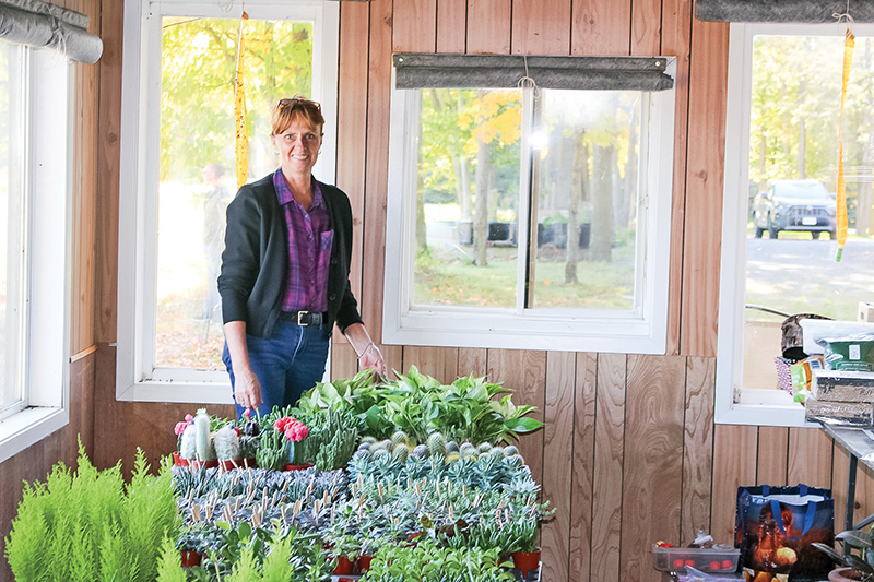 Chantal’s Succulent Oasis