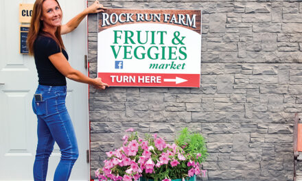 Rock Run Farm Market brings affordable produce to Avonmore area