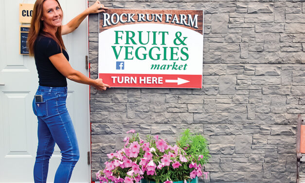 Rock Run Farm Market brings affordable produce to Avonmore area