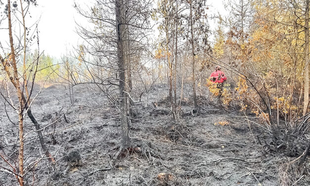 North Dundas Fire crews battle stubborn fire at Alvin Runnalls Forest