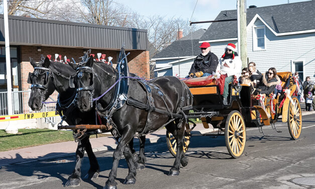 Garden Party Christmas Market spreads the spirit of the season