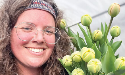 Beautiful flowers grown at Skarj Farm