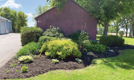 At The Garden Gate Gardening Services makes gardens look their best