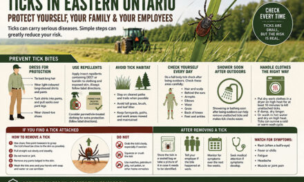 Ticks in Eastern Ontario: Don’t assume you are immune