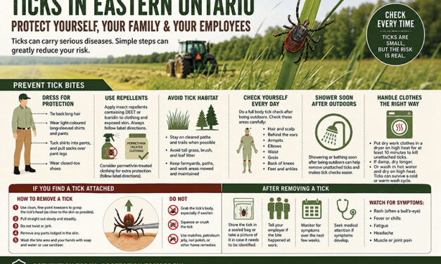 Ticks in Eastern Ontario: Don’t assume you are immune