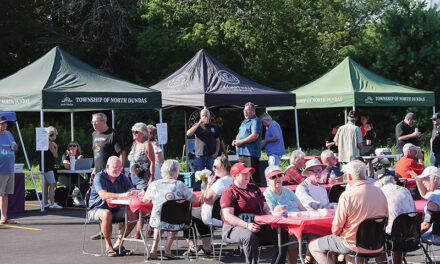Meet Me on Main St. Hallville moves to Brian Telford Park
