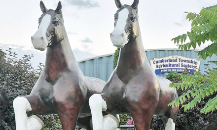 79 years and counting: Hazy skies and warm temperatures don’t keep Navan Fair fans away