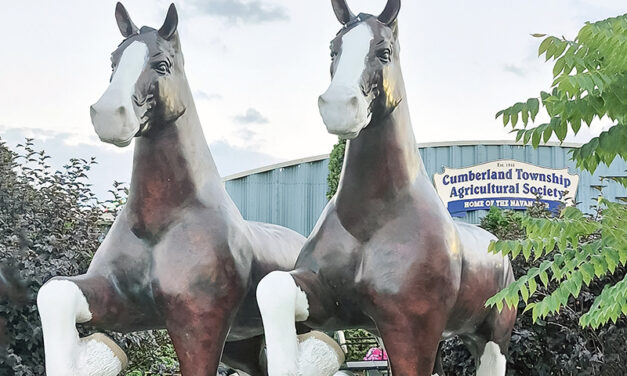 79 years and counting: Hazy skies and warm temperatures don’t keep Navan Fair fans away